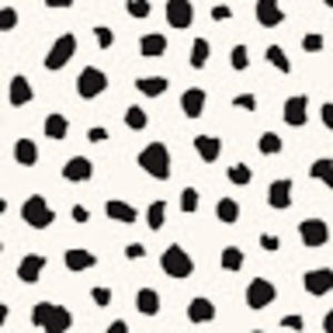 Meet your Posher, Ava